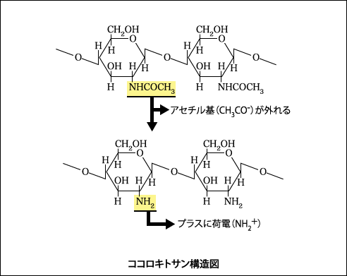 構造図